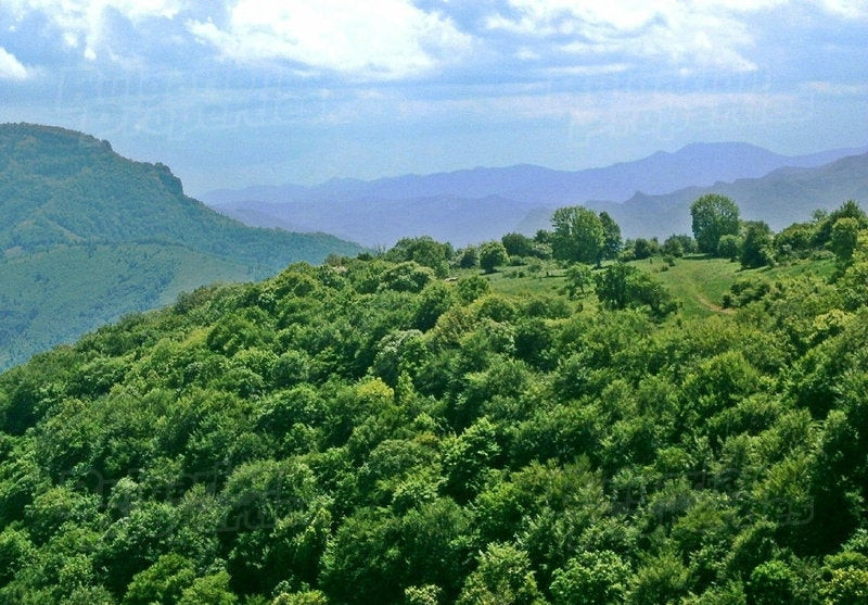Τί κάνει τα ατέλειωτα βουνά της Βουλγαρίας να μην καίγονται όπως της Ελλάδας; (εικόνες)